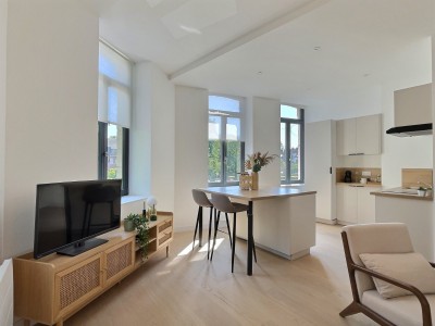 APPARTEMENT T2 A VENDRE - LILLE SAINT MAURICE PELLEVOISIN - 44 m2 - 224000€