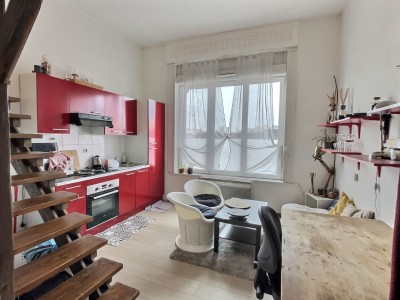STUDIO - LILLE MOULINS - 18 m2 - LOUÉ
