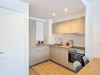 BEAU TYPE 2 LILLE ST MICHEL