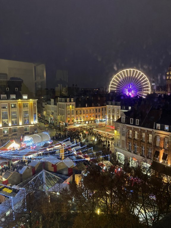Type 3+ A VENDRE - LILLE HYPER CENTRE - 85.41 m2 - 345 000 €