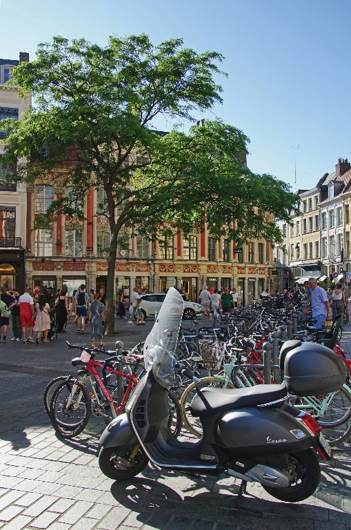 Gestion locative Lille : confiez votre bien immobilier à des professionnels
